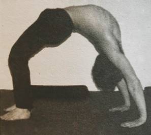 urdhvadhanurasana